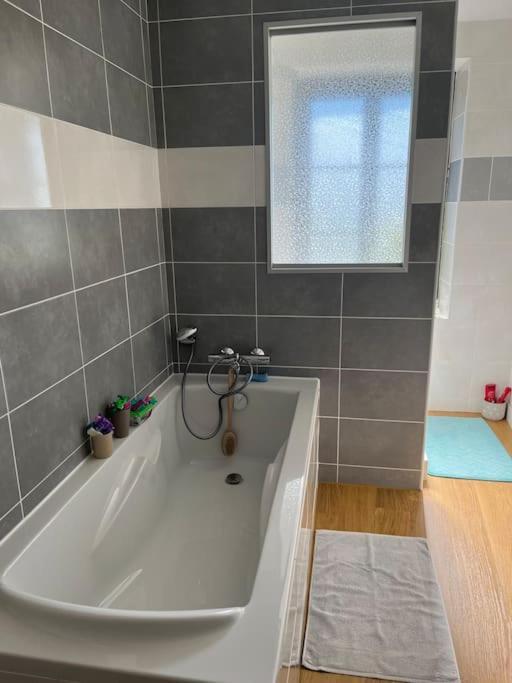 Charmant Appartement En Pierres Bourgoin-Jallieu Екстер'єр фото